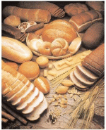 carbs150